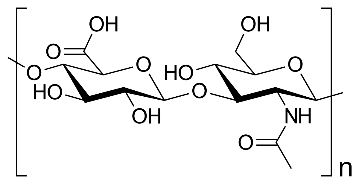 hyaluronik asit, hyaluronik asitin kimyasal yapısı